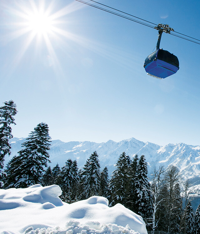 3S Gondola Lift Products